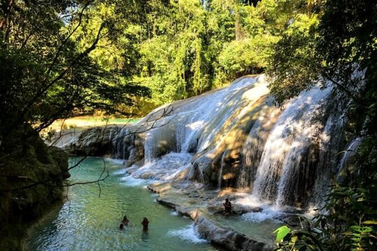 Tour Archaeological Zone and Roberto Barrios Waterfall from Palenque