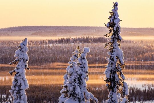 Snowmobile Driving - Morning start