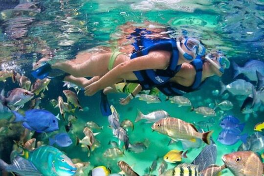 Xelha All Inclusive