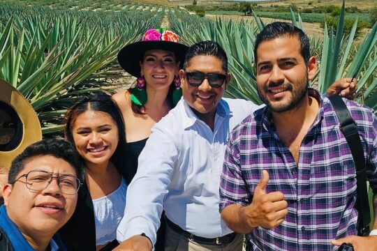 Oaxacan Mezcal Tour