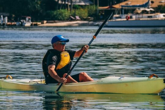 Mangroves and Mansions Guided Kayak Tour on the Noosa River