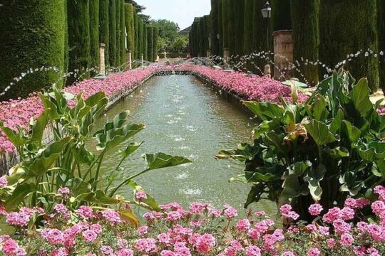 Alcázar and Gardens Guided Tour in Spanish