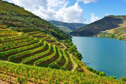 Private transfer to Douro Valley from Lisbon