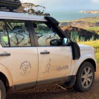 Multi-day & Extended Tours