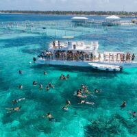 Shark Diving