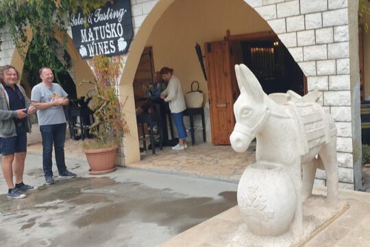 Peljesac Private Wine Tour From Dubrovnik