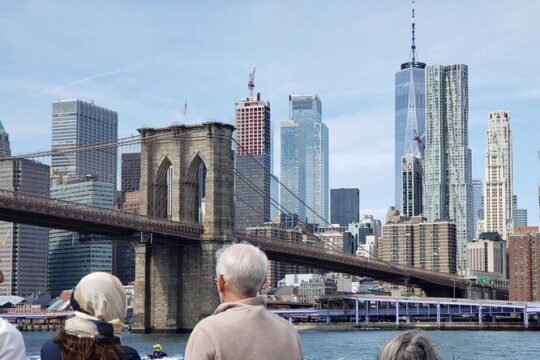 Statue of Liberty Ferry Boat Pass
