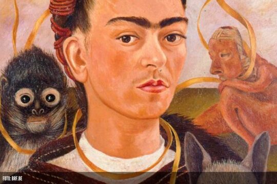 Private Tour: Frida Kahlo and Diego Rivera's Legacy- visit to three museums