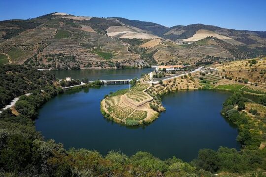 Authentic Douro Valley - small-Group Tour (Max 7)