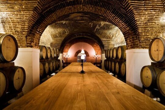 Wine Experience in Évora