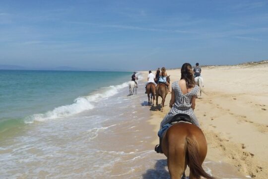 Horse Riding on the Beach Tour