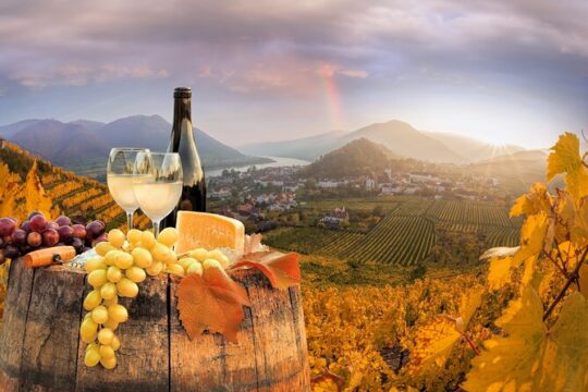 Vienna Wine Tasting Tour with Private Wine Expert