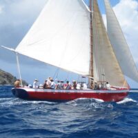 Cruises, Sailing & Water Tours
