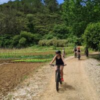 Bike & Mountain Bike Tours