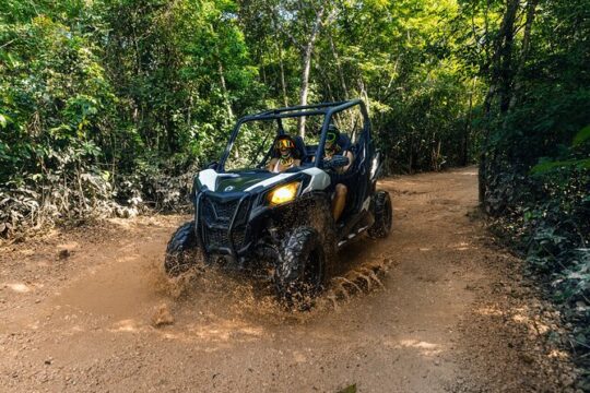 Extreme Buggy Adventure with Ziplines & Cenote with Tulum Pickup