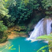 Tours & Sightseeing
