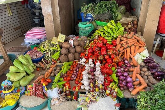 Full Day Eco Safari Adventure and Cultural Tour