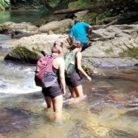 Day Trips & Excursions