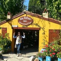 Plantation Tours
