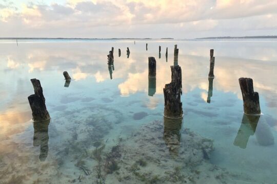 Cancun to Playa del Carmen - Private Transfer with Optional Sightseeing