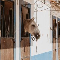 Walking & Biking Tours