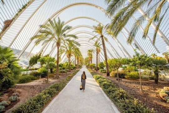 Valencia Must-See Attractions Walking Tour