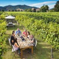 Beer & Brewery Tours