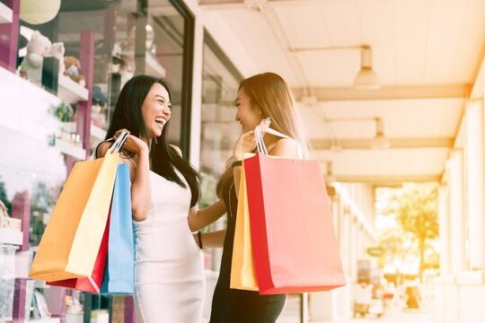 Independent Shopping Trip to Maasmechelen Village Luxury Outlet from Brussels