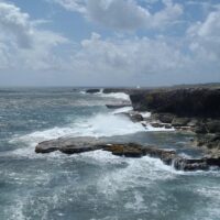 Private & Custom Tours