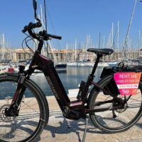 Bike Rentals