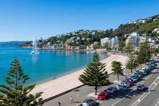 Full Day Guided Wellington Tour