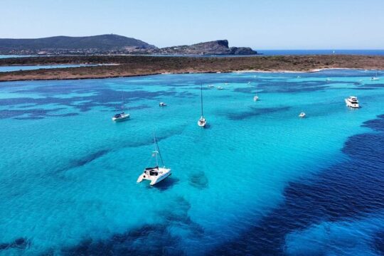 From Stintino Catamaran Tour to Asinara Island