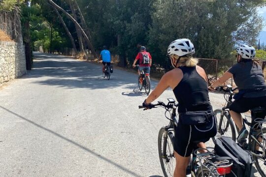 E-Bike Tour with Wine Tasting in Dafnes, Heraklion