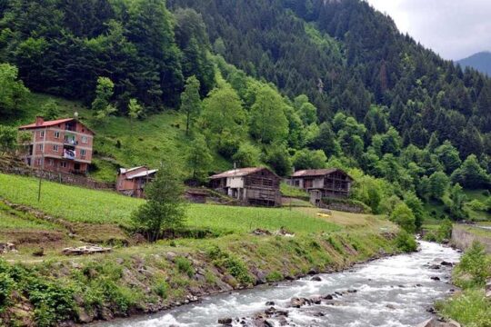 Full-Day Private Tour to Uzungöl from Trabzon