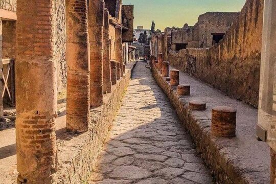 Tour a Pompei Scavi e Degustazione di Vini con pranzo da Positano