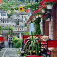 Day Trips & Excursions