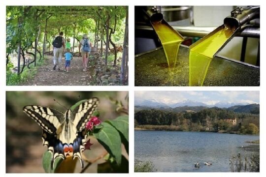 Cretan Nature Paradise up 15 persons Group Tour - Wheelchail,Scooter Accessible