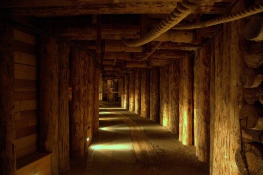 From Krakow: Wieliczka Salt Mine Private Tour