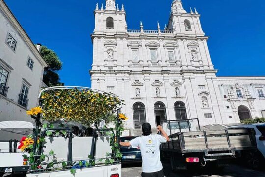 Private Guided Tour in Lisbon Old City