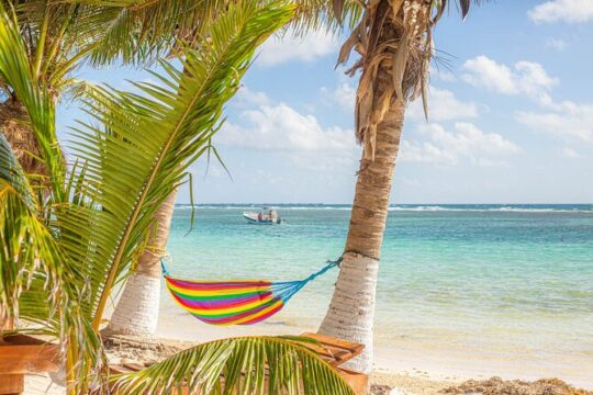 Private Tour Pyramids of Chacchoben and Mahahual with Transportation