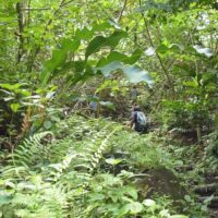 Hiking & Camping