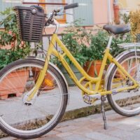 Bike Rentals