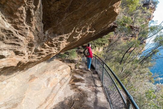 Blue Mountains Highlights & Wildlife Park