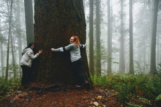 Quarry Rock Hike and Deep Cove Photography