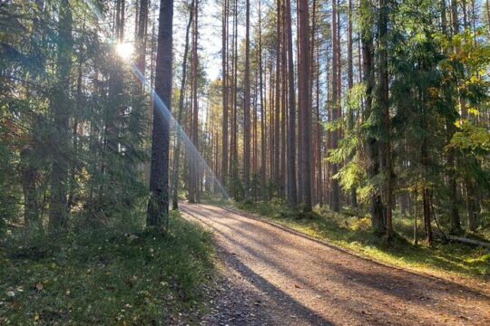 Trip to Kemeri National Park & Jurmala from Riga