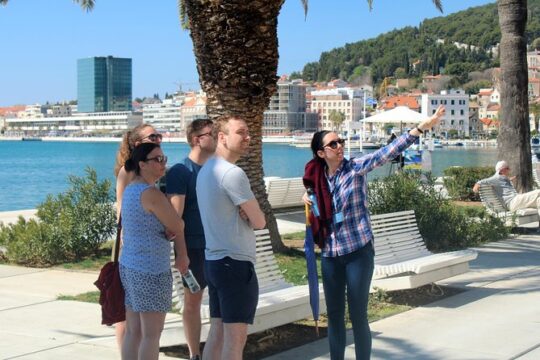 Private Walking Tour of Split