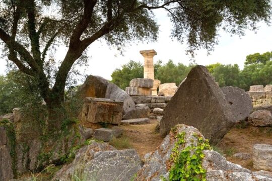 Boutique Expedition -Small Group Tour Olympia, Wine & Oil Tasting