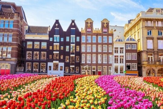 Amsterdam Highlights and Hidden Gems Guided Walking Tour
