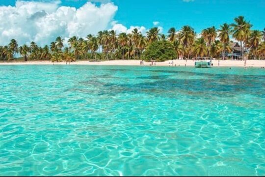 Half-day Private Catamaran Trip with Snorkeling