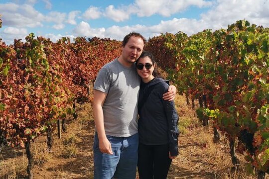 Private Day Tour Experience from Évora